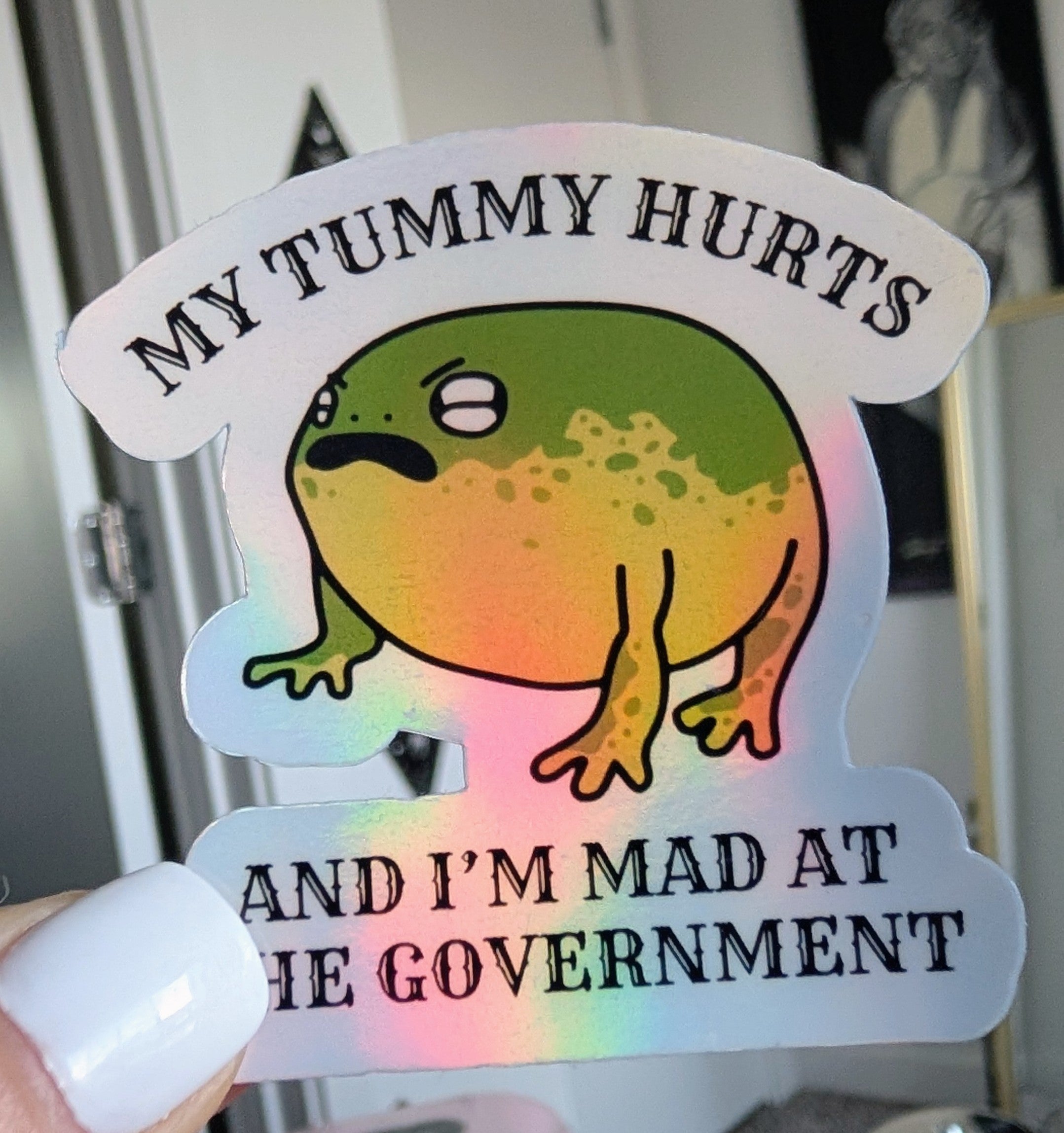 My Tummy Hurts and I'm Mad at the Government ∙ Holographic Vinyl Sticker ∙ 2.5"