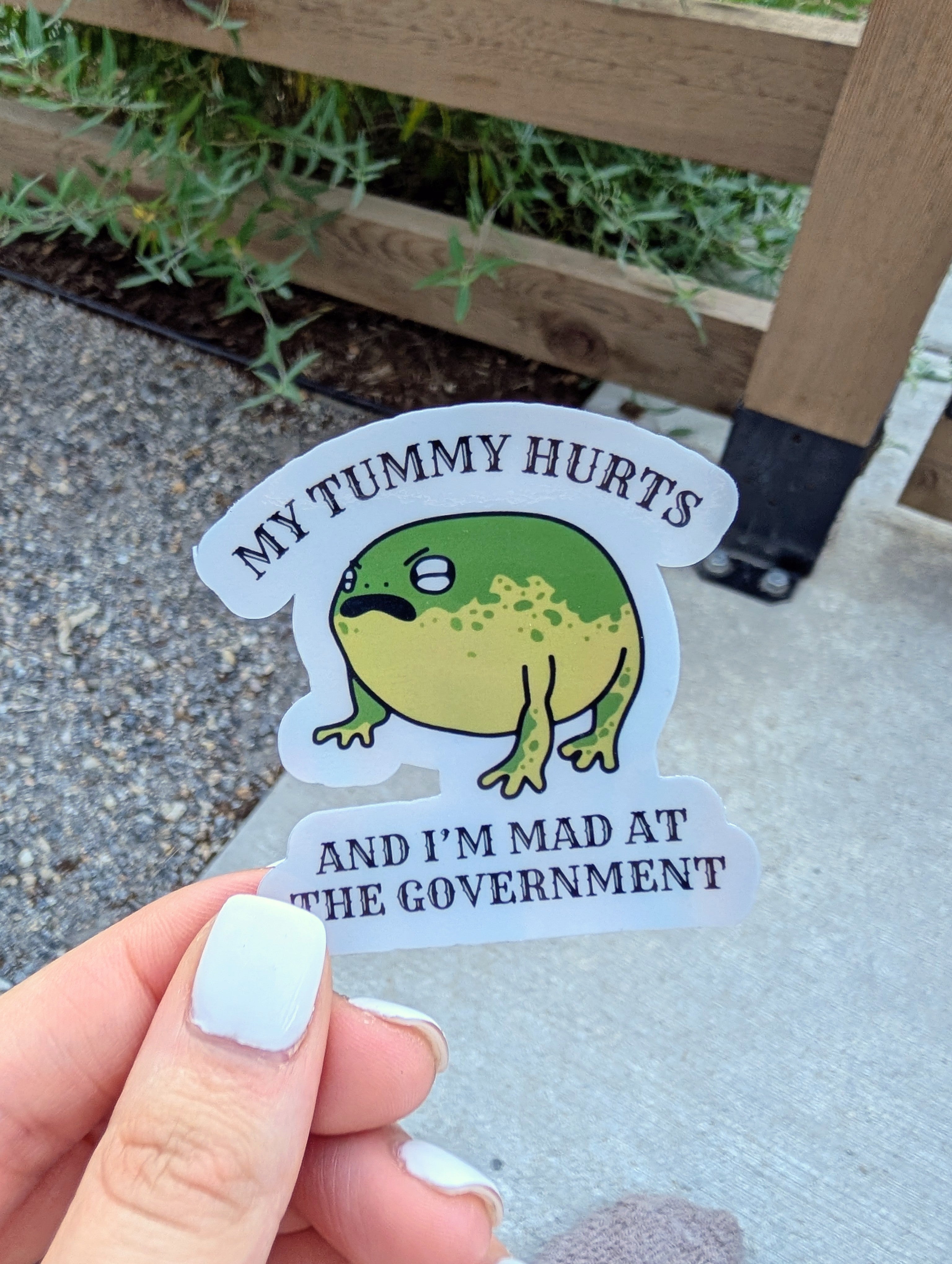 My Tummy Hurts and I'm Mad at the Government ∙ Holographic Vinyl Sticker ∙ 2.5"